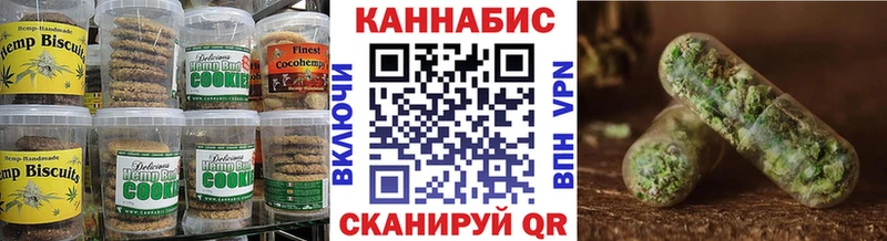 MEGA   где купить наркотик  Злынка  Canna-Cookies марихуана 