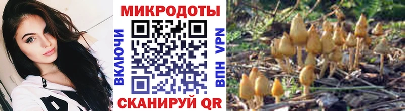 Галлюциногенные грибы ЛСД Злынка