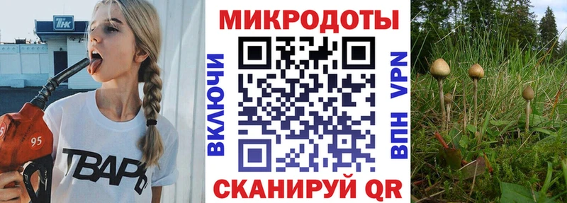 Галлюциногенные грибы GOLDEN TEACHER сколько стоит Злынка